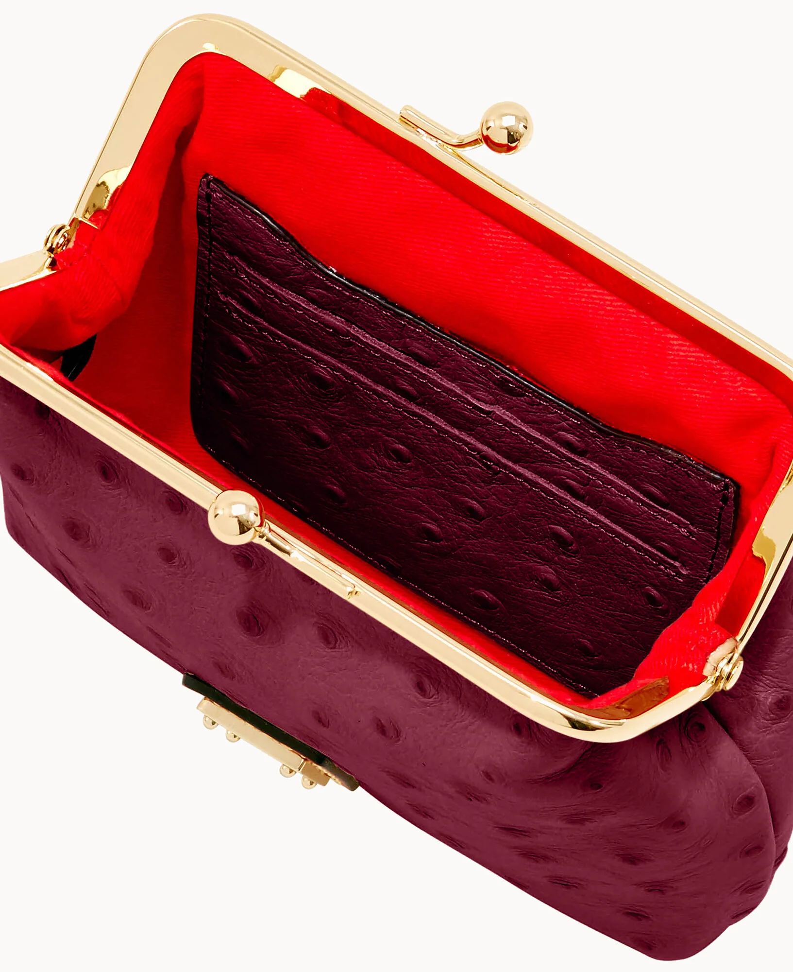 Ostrich Large Framed Purse - Image 47