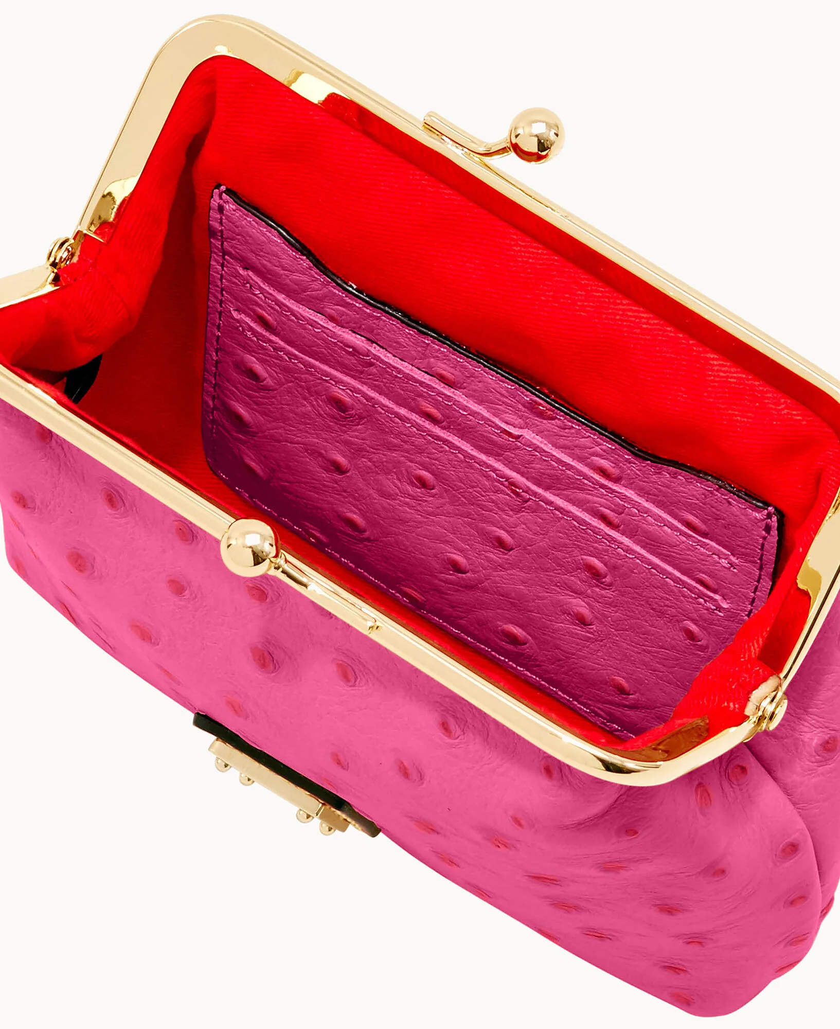 Ostrich Large Framed Purse - Image 53
