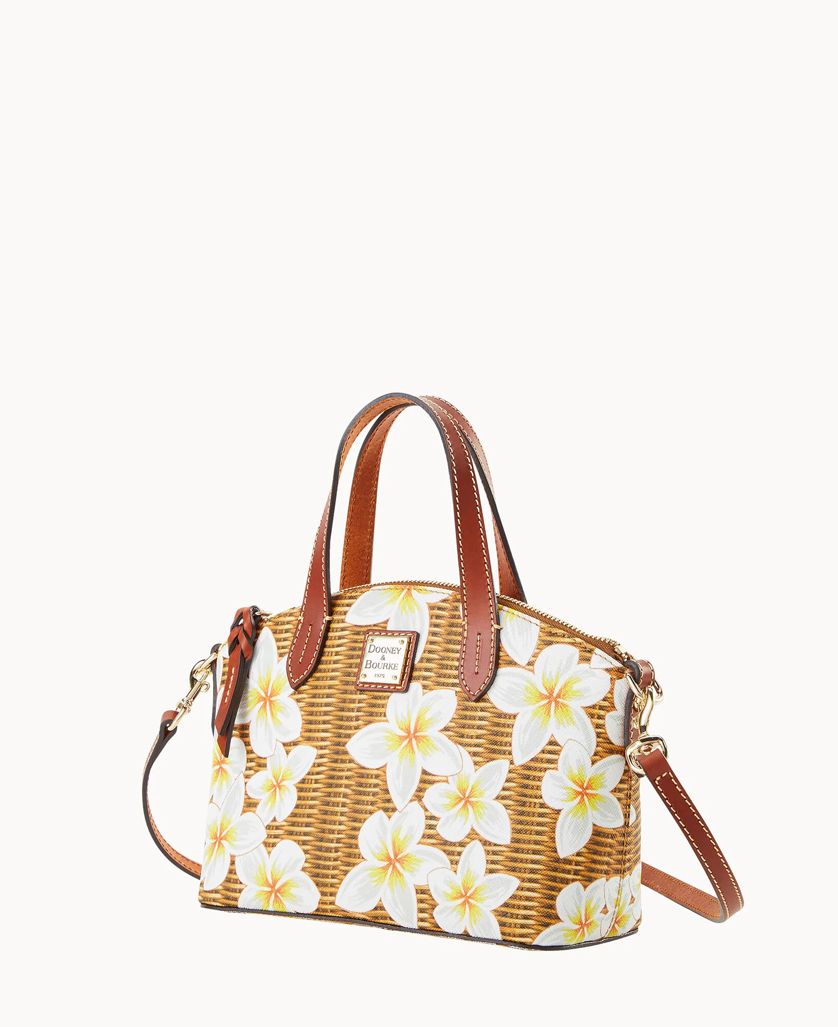 Plumeria Ruby - Image 10