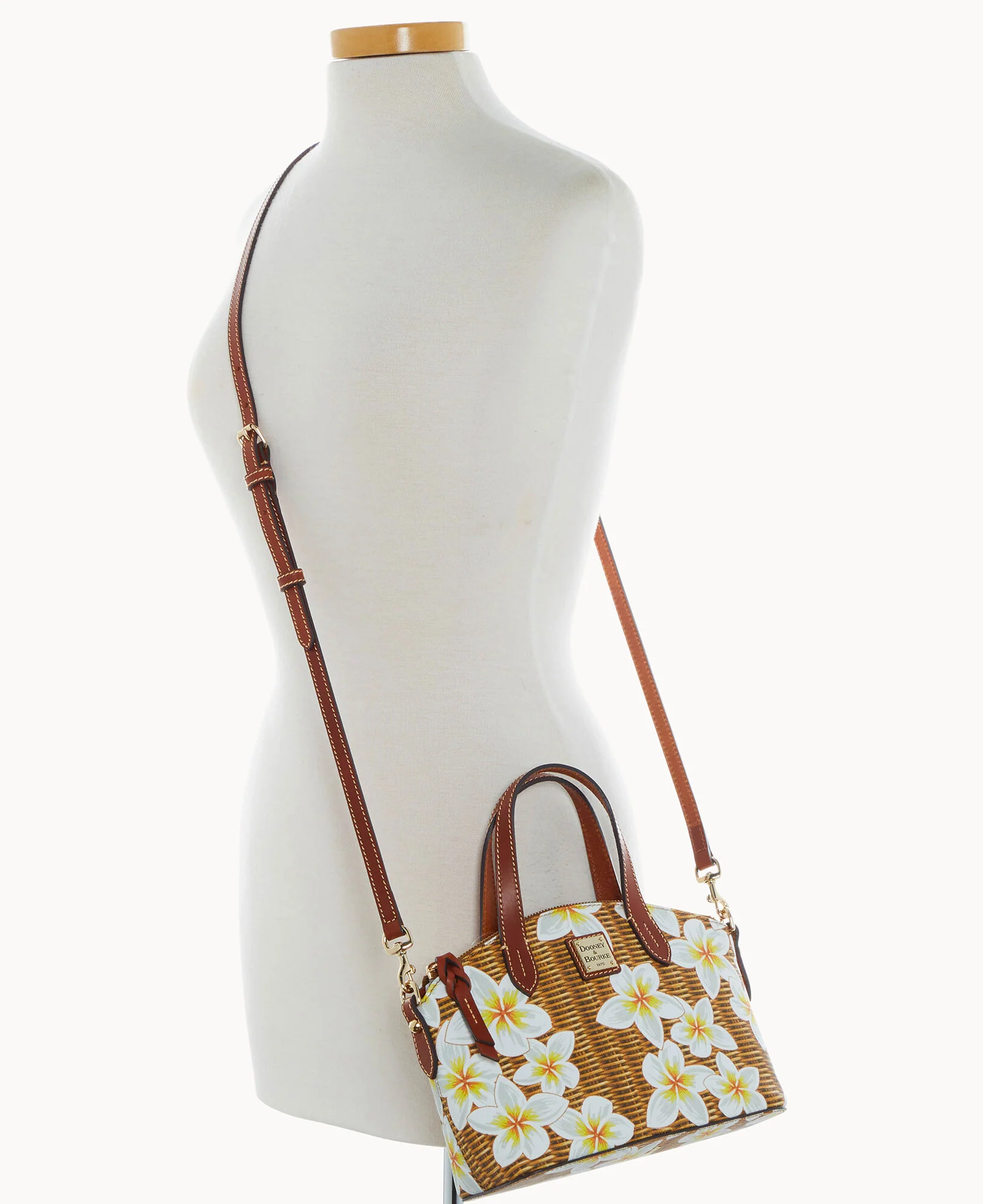 Plumeria Ruby - Image 12